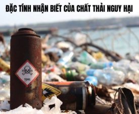 Chất Thải Nguy Hại Là Gì? Phân Loại Và Cách Xử Lý An Toàn