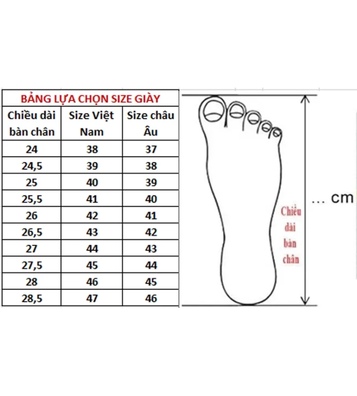 Giày Bảo Hộ Xincaihong 89524